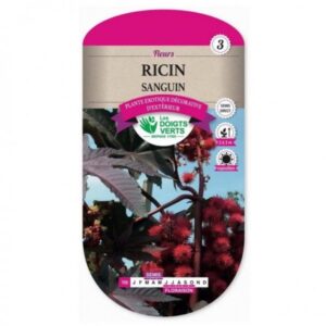 Ricin sanguin