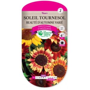 Soleil tournesol beauté d'automne varié