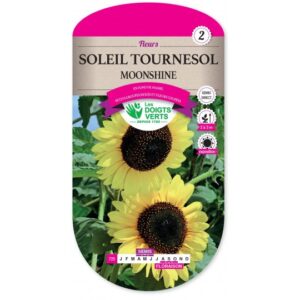Soleil tournesol Moonshine