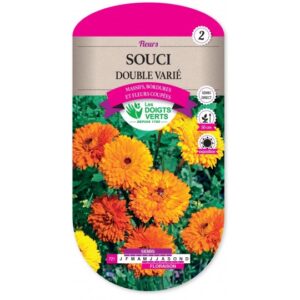 Souci double varié