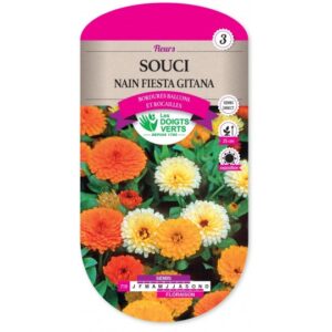 Souci nain Fiesta Gitana