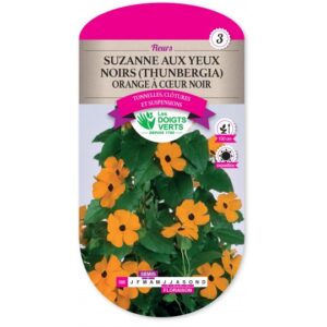 Suzanne aux yeux noirs (Thunbergia) Orange à coeur noir
