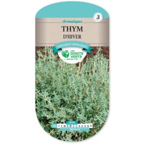 Thym d'hiver