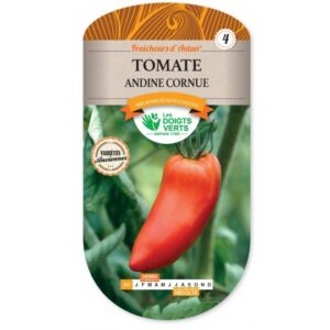 Tomate Andine cornue