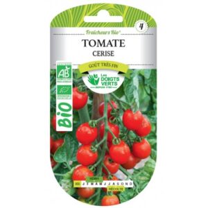 Tomate cerise