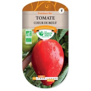 Tomate coeur de boeuf