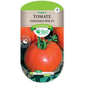 Tomate Fandango Hybride F1