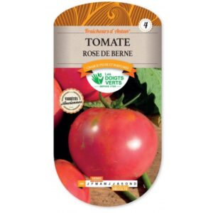 Tomate Rose de Berne