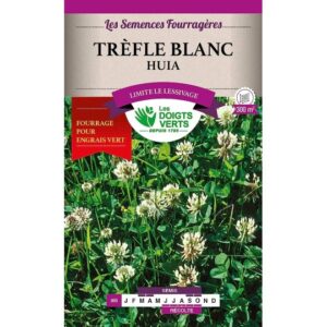 Trèfle blanc Huia