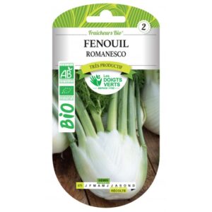 Fenouil romanesco