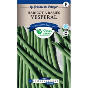 Haricot à rames vesperal