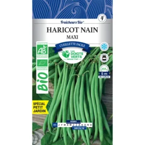 Haricot nain Maxi