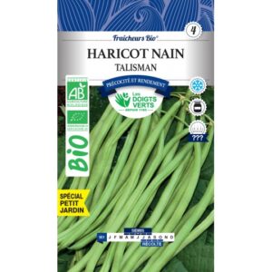 Haricot nain Talisman