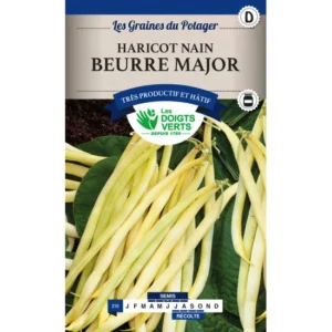 Haricot nain beurre major