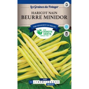 Haricot nain beurre minidor
