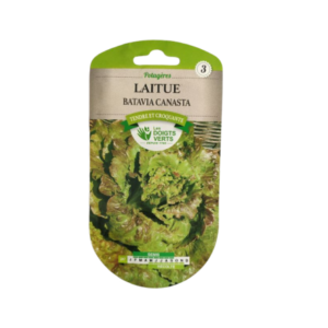 Laitue Batavia Canasta