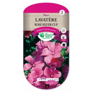 Lavatère rose Silver cup