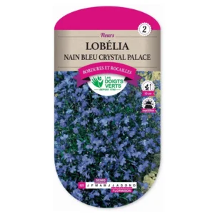 Lobélia nain bleu crystal palace