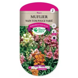 Muflier nain Tom pouce varié