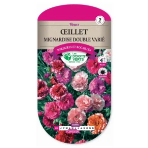 Oeillet mignardise double varié