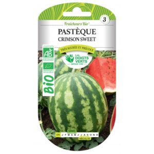 Pastèque crimson sweet