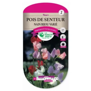 Pois de senteur nain Bijou varié