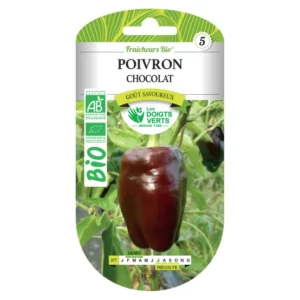 Poivron chocolat