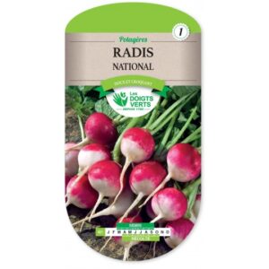 Radis national