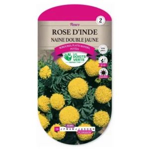 Rose d'Inde naine double jaune