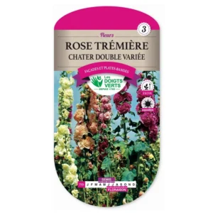 Rose trémière Chater double variée