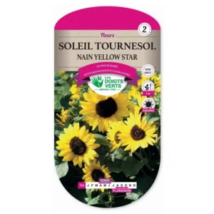 Soleil tournesol nain Yellow Star
