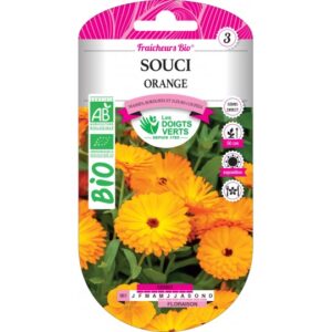 Souci orange