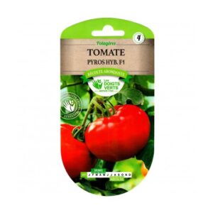 Tomate Pyros Hybride F1