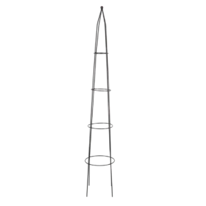 Support plante pyramide
